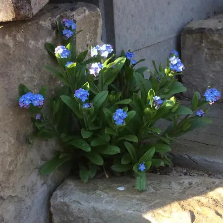 펜션 Haus Am Fischendorfer Bach *