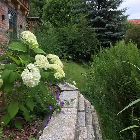 Haus Am Fischendorfer Bach 펜션 *