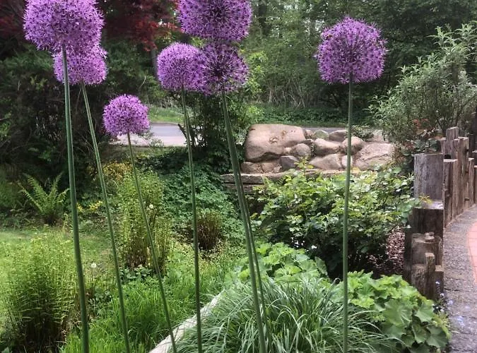 Haus Am Fischendorfer Bach Бад-Фаллингбостель