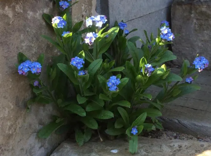 Дом отдыха Haus Am Fischendorfer Bach *