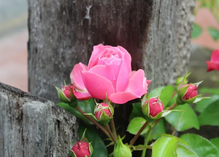 Дом отдыха Haus Am Fischendorfer Bach